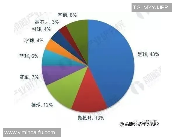足球明星脸部识别技术的应用与发展探讨及其对体育产业的影响分析